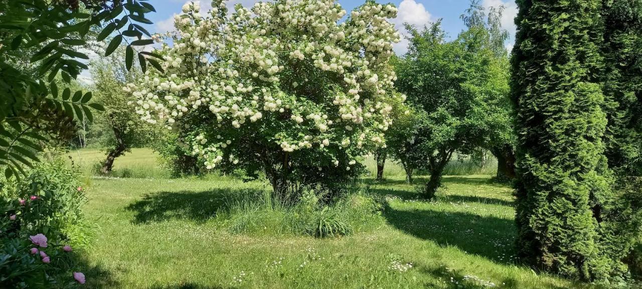 Lakorz Dom Goscinny Lerka - 240 M2 Mazury Jeziora Lasy מראה חיצוני תמונה