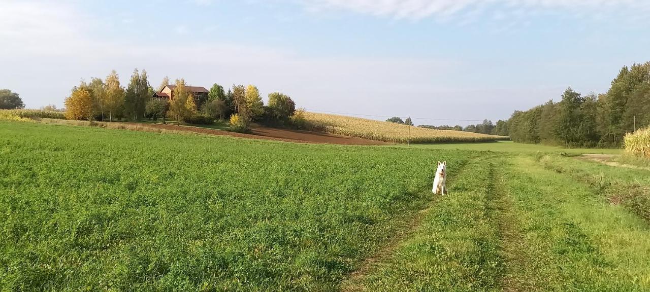 Lakorz Dom Goscinny Lerka - 240 M2 Mazury Jeziora Lasy מראה חיצוני תמונה